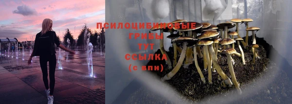 амф Семикаракорск