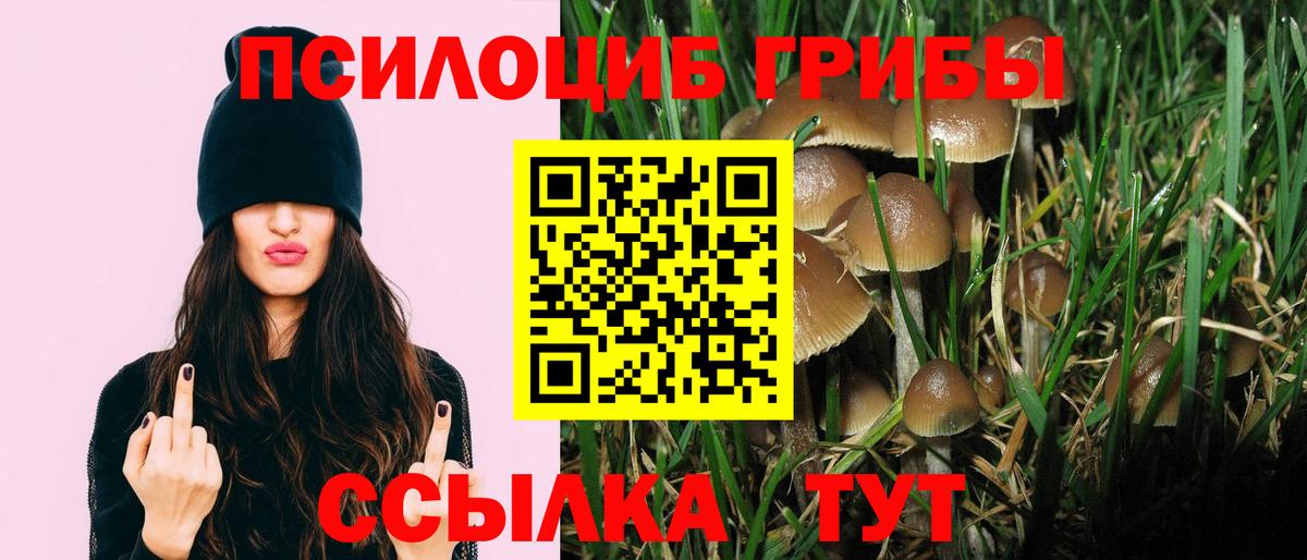 Галлюциногенные грибы Psilocybe  Галлюциногенные грибы MAGIC MUSHROOMS  Апшеронск  Вход с VPN 