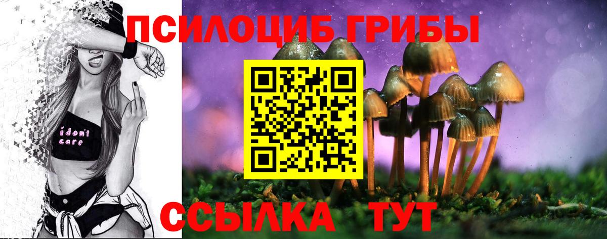 Галлюциногенные грибы GOLDEN TEACHER Апшеронск